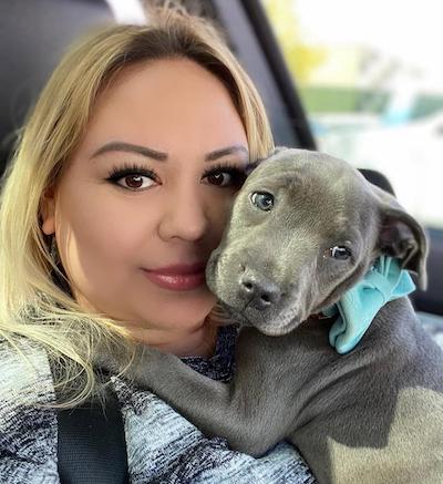 Happy Blue Staffy puppy owner from London sharing a testimonial