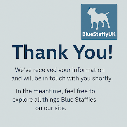 Blue Staffy Puppies Journey | Thank you message from BlueStaffyUK with happy family and Blue Staffy puppy